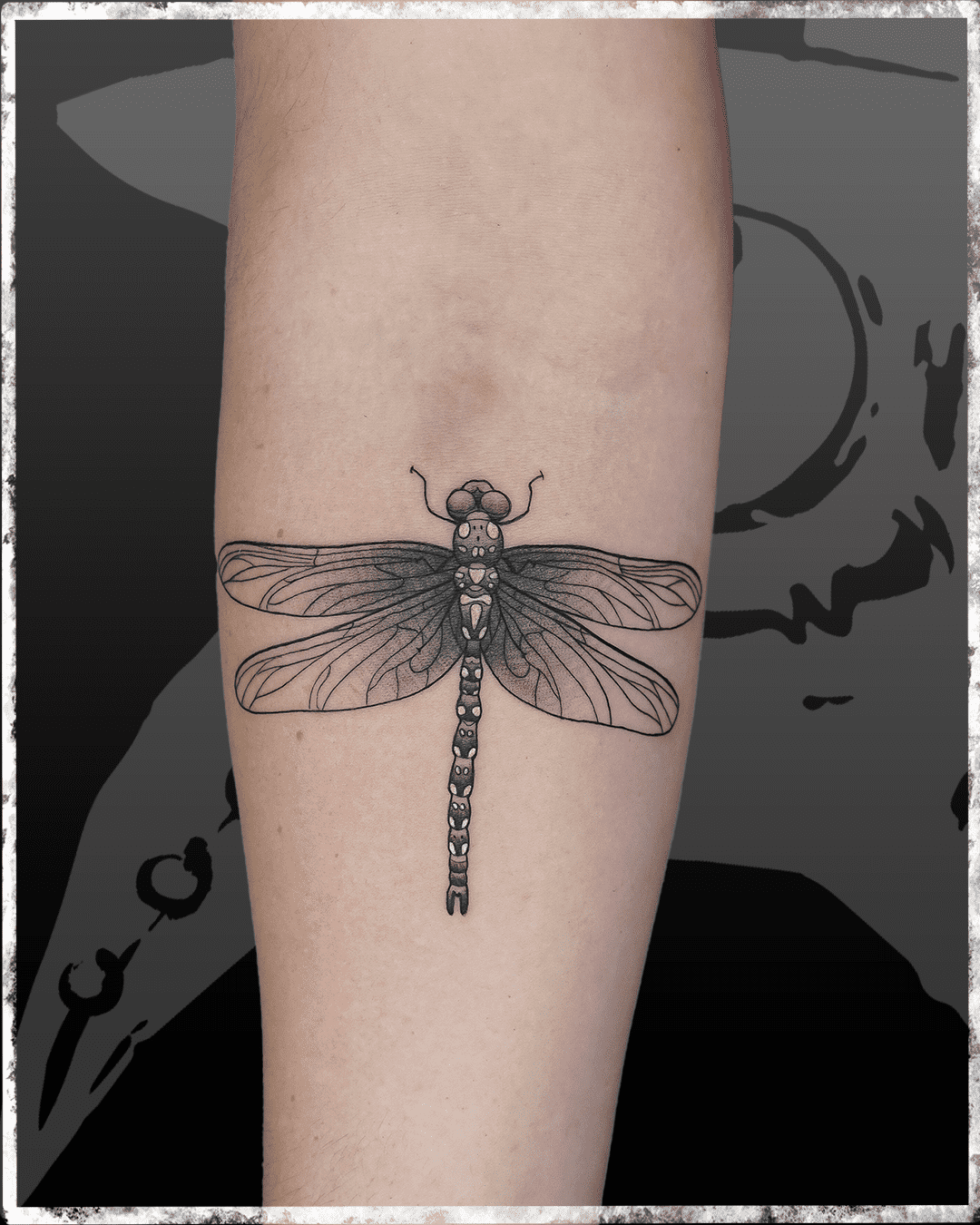 Color Clinic Tattoo & Piercing Studio, Leipzig