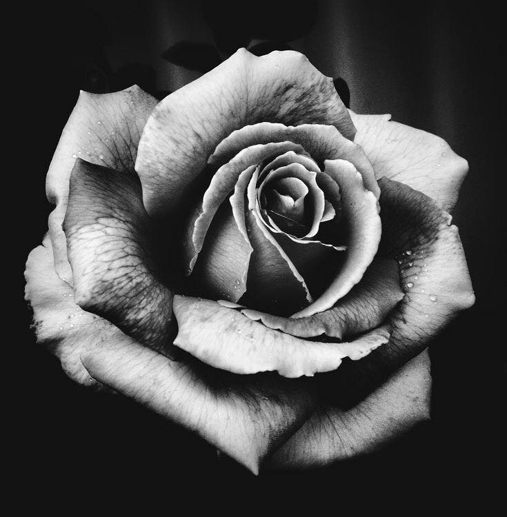 Tattoo Image